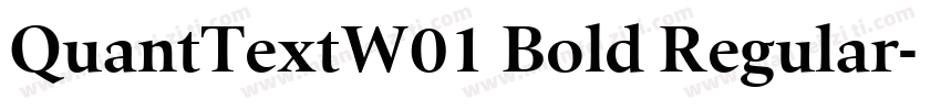 QuantTextW01 Bold Regular字体转换